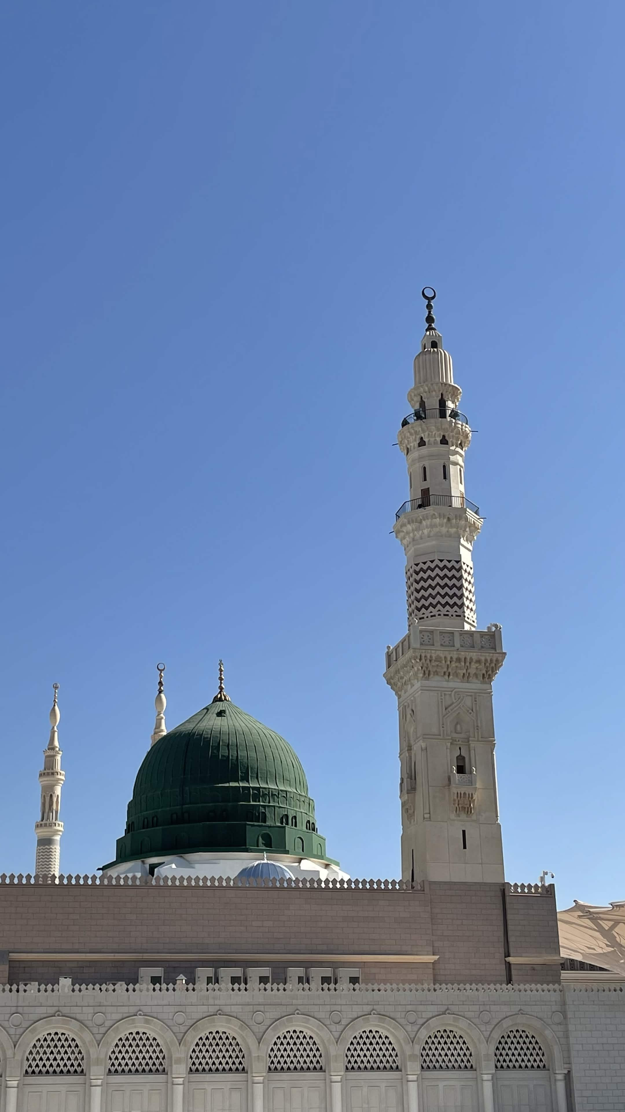 المدينة المنورة