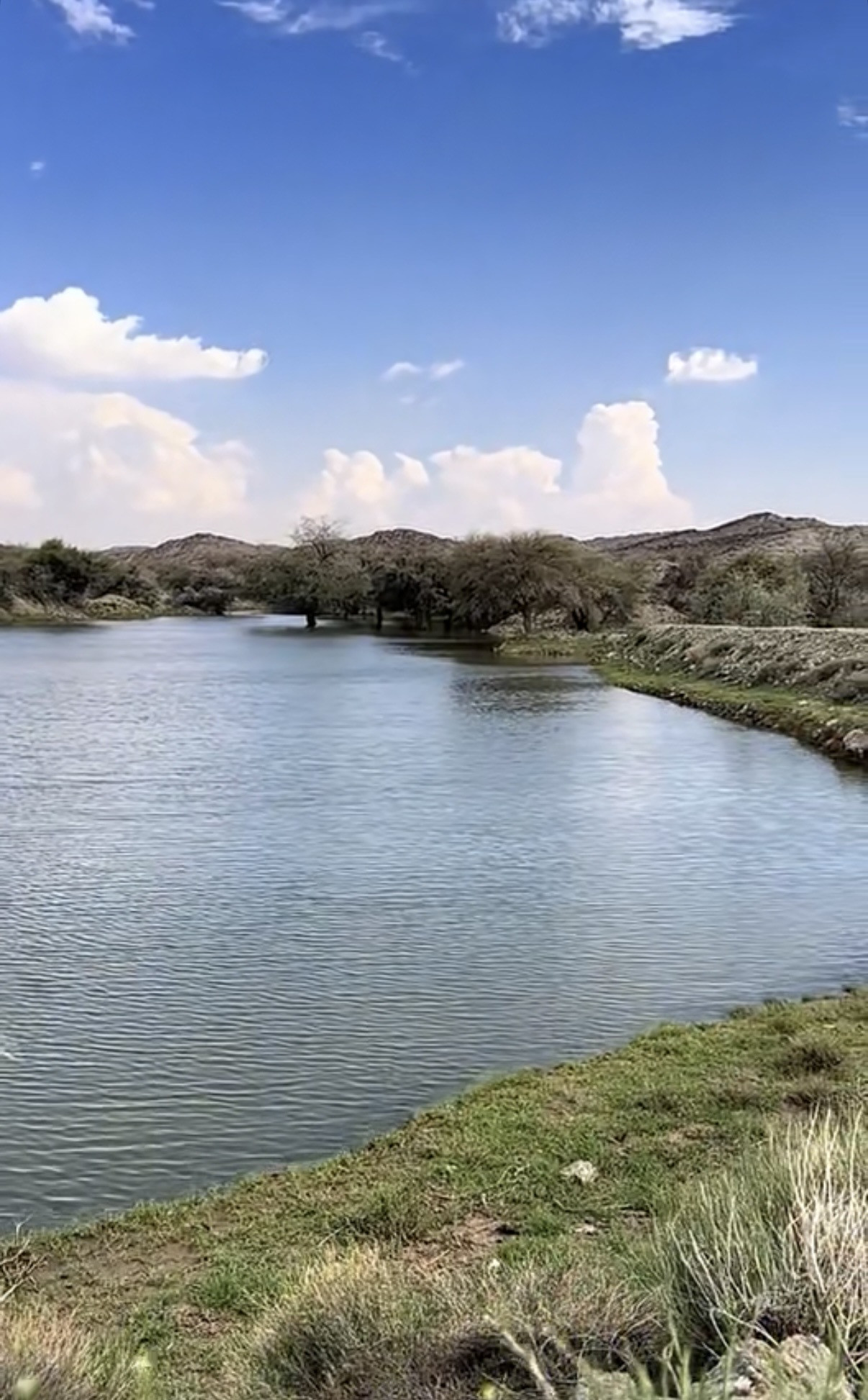 الجنوب
