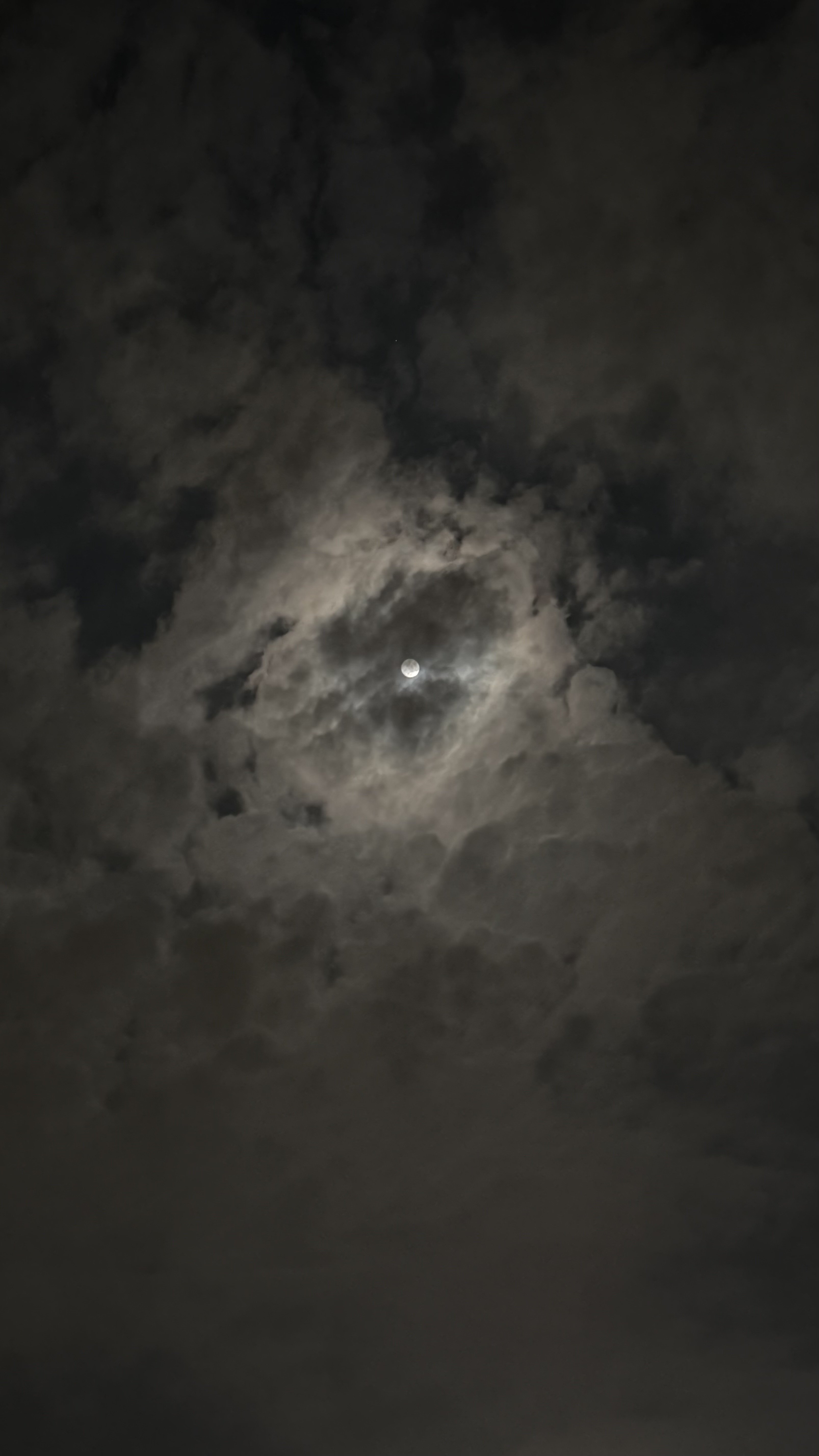 🌑✨
